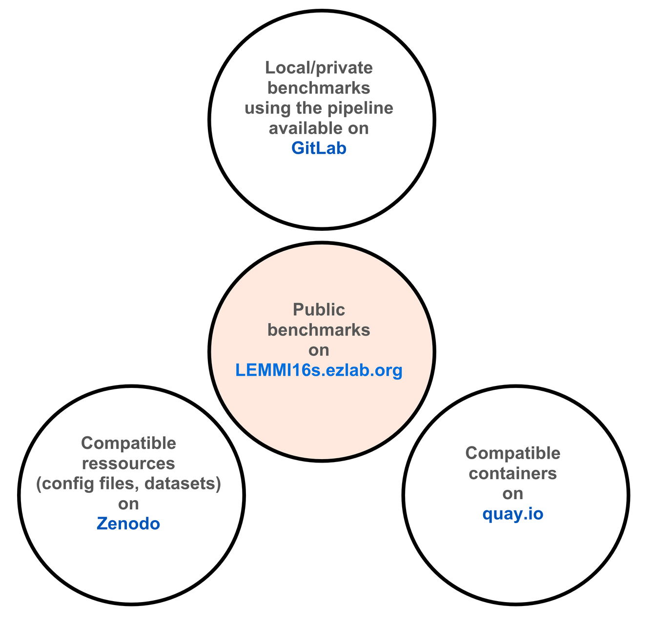 4 circles showing the 4 LEMMI16s components